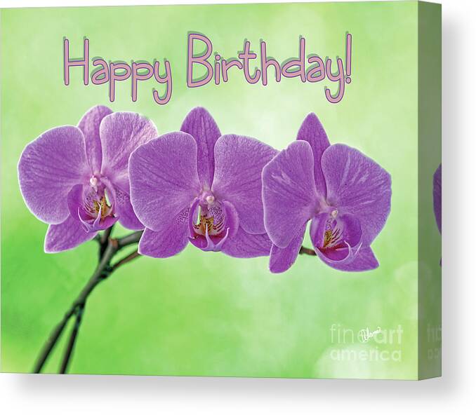 Happy Birthday Pink Orchids Canvas Print featuring the photograph Happy Birthday Pink Orchids by Alana Ranney