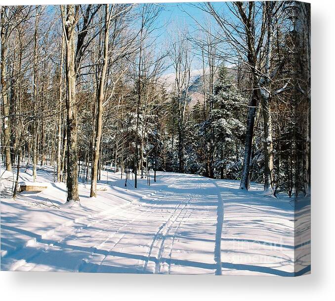 Winter Canvas Print featuring the photograph Happy Trails by Phil Spitze