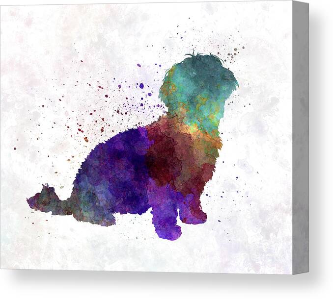 Havanese Canvas Print featuring the painting Havanese in watercolor by Pablo Romero