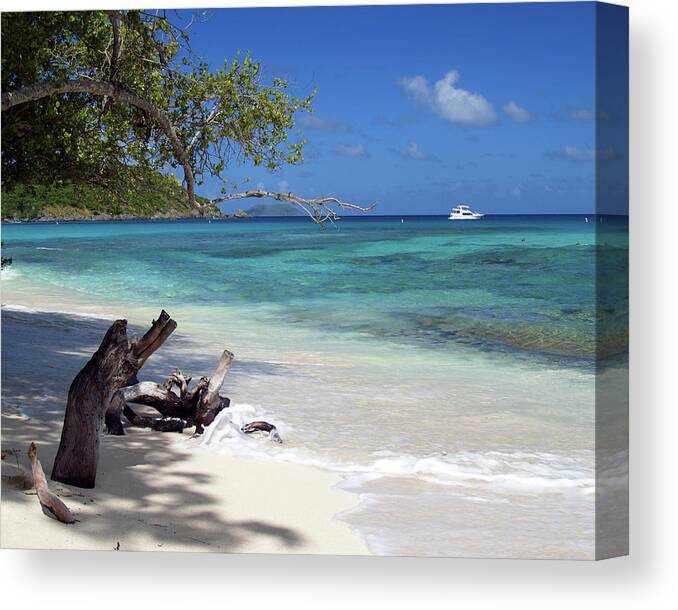 Hawksnest Bay Canvas Print featuring the photograph Hawksnest Bay 1 by Pauline Walsh Jacobson