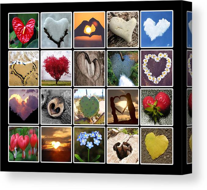 Heart Canvas Print featuring the mixed media Heart To Art by Dave Lee