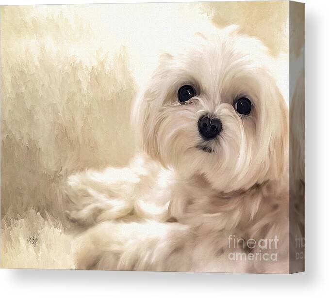 Maltese Canvas Print featuring the digital art Hoping For A Cookie by Lois Bryan
