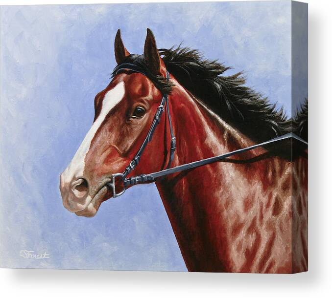 Horse Canvas Print featuring the painting Horse Painting - Determination by Crista Forest