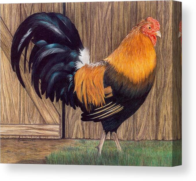 Rooster Canvas Print featuring the drawing I Am A Dandy Man by Karolann Hoeltzle