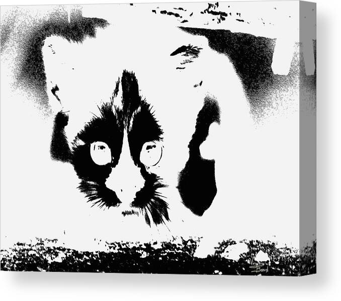 Black Andd White Canvas Print featuring the painting    I See You by Virginia Bond