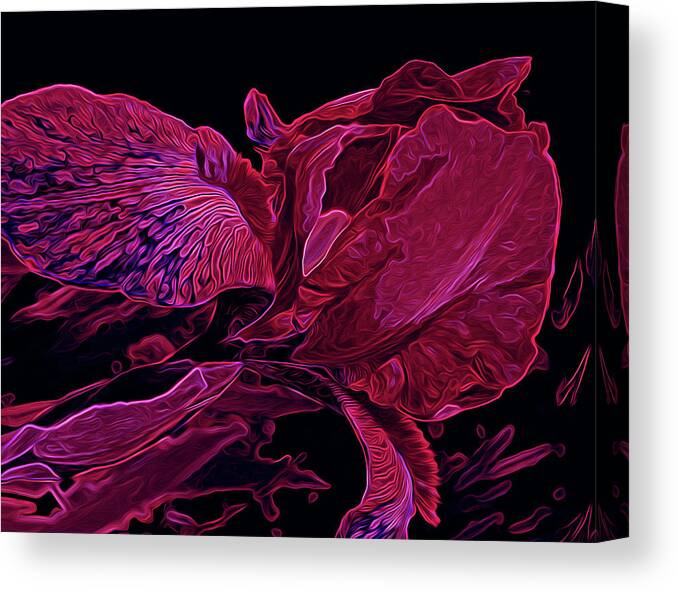 Iris Canvas Print featuring the photograph Iris Deep Red Glow by Lynda Lehmann