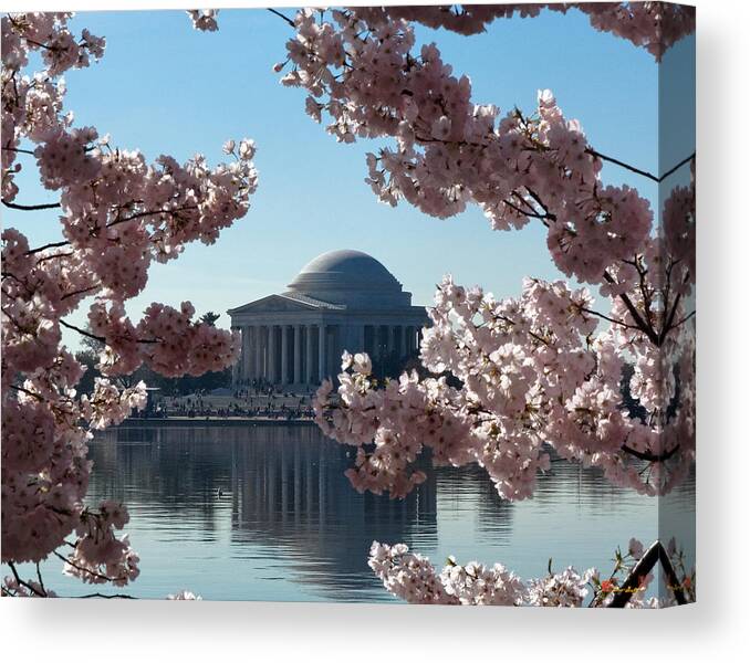 Washington D.c. Canvas Print featuring the photograph Jefferson Memorial at Cherry Blossom Time on the Tidal Basin DS008 by Gerry Gantt