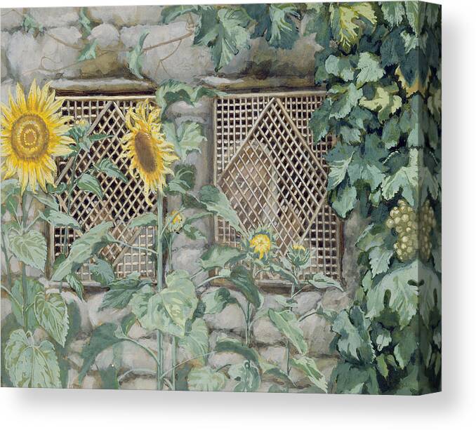 Jesus Looking Through A Lattice With Sunflowers Canvas Print featuring the painting Jesus Looking through a Lattice with Sunflowers by Tissot