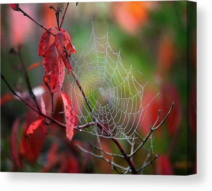 Spider Web Canvas Print featuring the photograph Jewelled Spider Web by Al Mueller