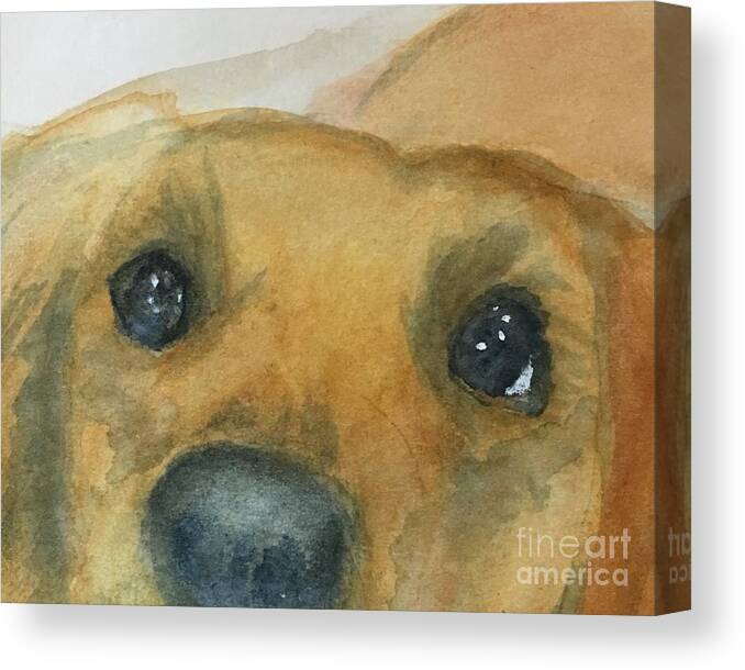 Dog Canvas Print featuring the painting Treat Time by Sue Carmony