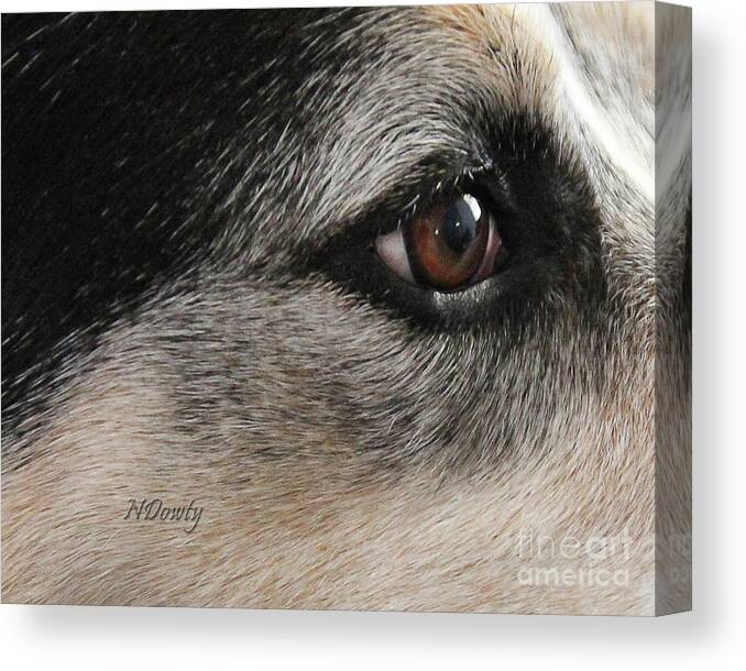 Dog Eye Canvas Print featuring the photograph Kind Sight by Natalie Dowty