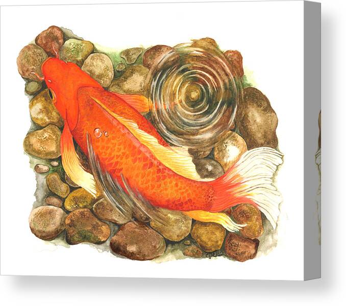 Koi Canvas Print featuring the painting Koi with ripple by Cindy Hitchcock