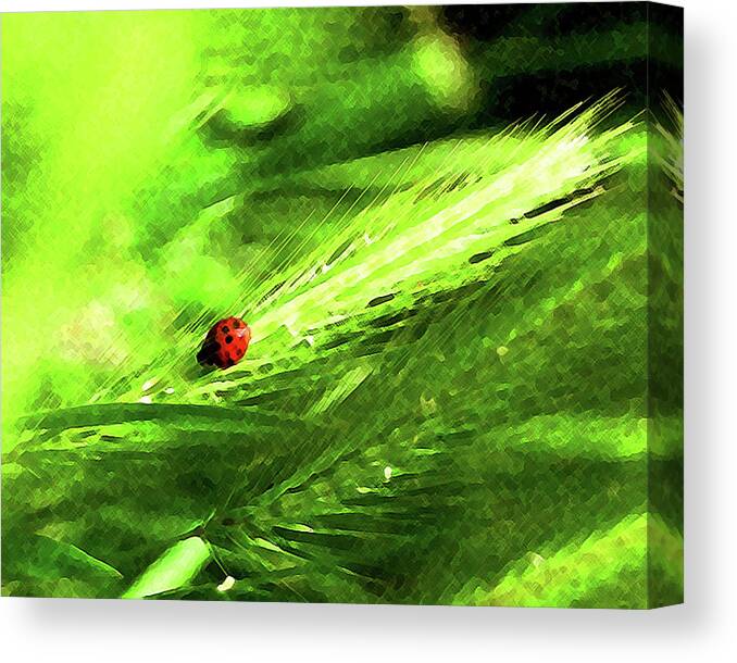 Ladybug Canvas Print featuring the digital art Ladybug by Timothy Bulone