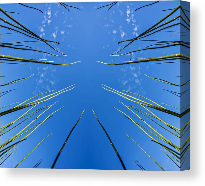 Alpine Canvas Print featuring the digital art Lake Grass Reflection by Pelo Blanco Photo