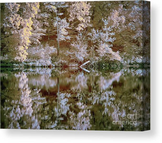 Needwood Canvas Print featuring the photograph Lake reflection IR faux color by Izet Kapetanovic