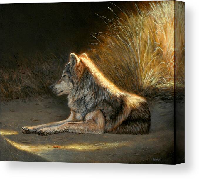 Oil Canvas Print featuring the painting Last Light - Wolf by Linda Merchant