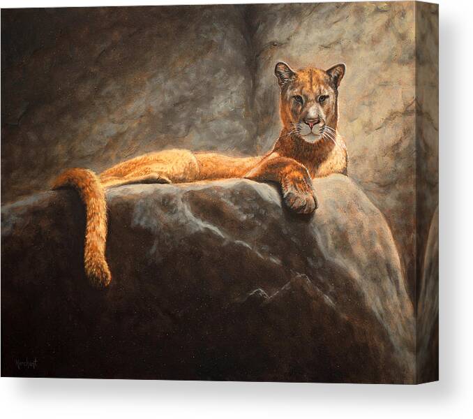 Cougar Canvas Print featuring the painting Laying Cougar by Linda Merchant