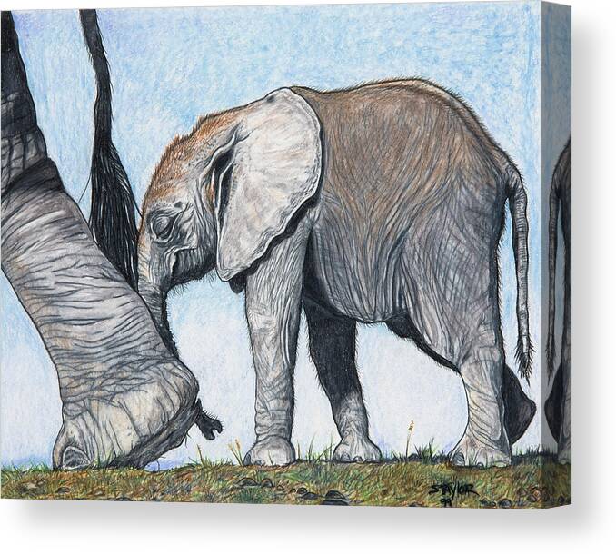 Elephants Canvas Print featuring the mixed media Leading the way by Stephen Taylor