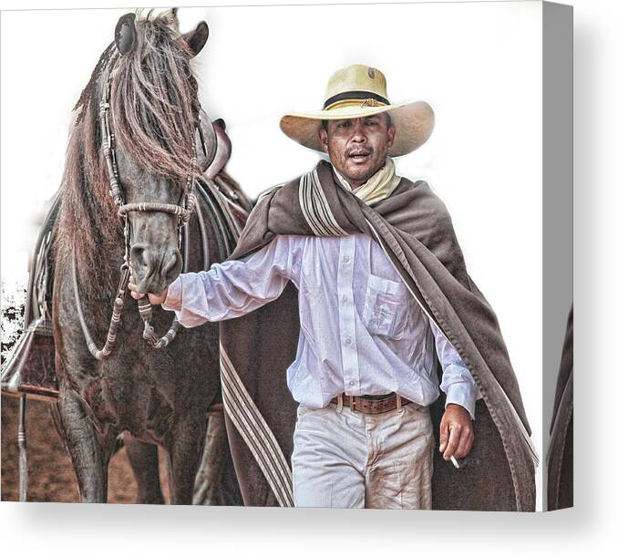 Peruvian Horse Canvas Print featuring the photograph Leading to Competition Peruvian Horse by Toni Hopper