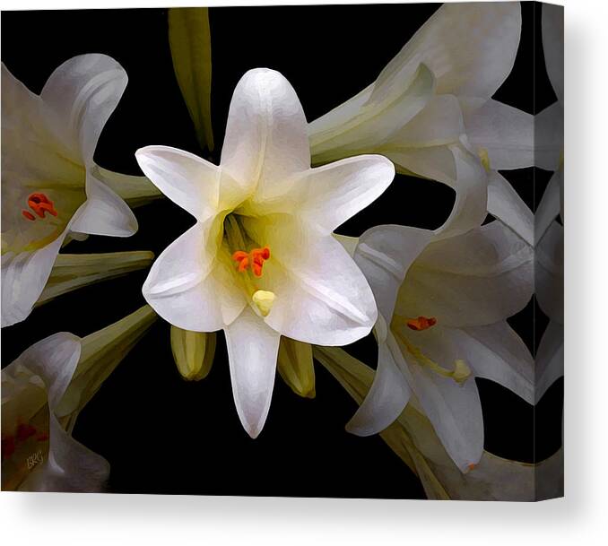 Easter Lily Canvas Print featuring the photograph Lily by Ben and Raisa Gertsberg