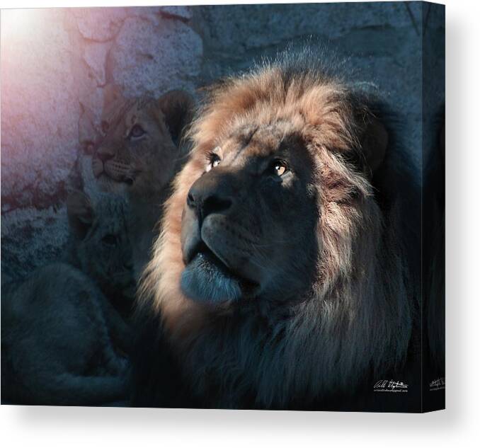 Lions Canvas Print featuring the photograph Lion Light by Bill Stephens