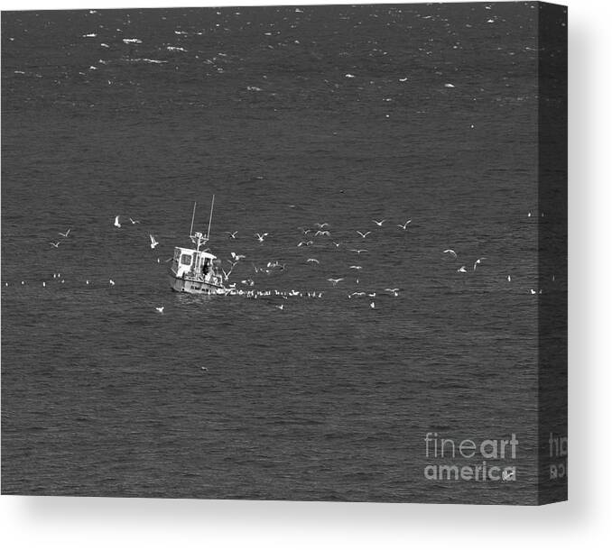 Downeast Canvas Print featuring the photograph Lobster Fishing by Alana Ranney