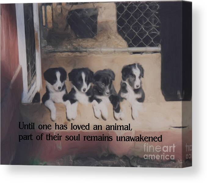 Quote Canvas Print featuring the painting Love For Animals Inspirational Quote by Smilin Eyes Treasures