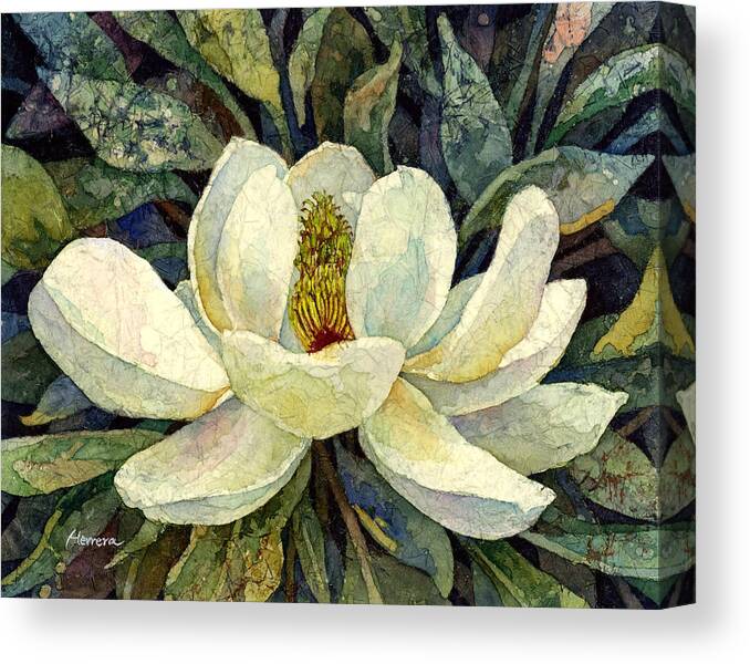 Magnolia Canvas Print featuring the painting Magnolia Grandiflora by Hailey E Herrera
