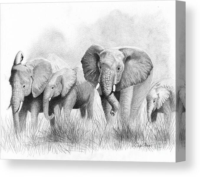 Elephants Canvas Print featuring the drawing Mama Says by Phyllis Howard