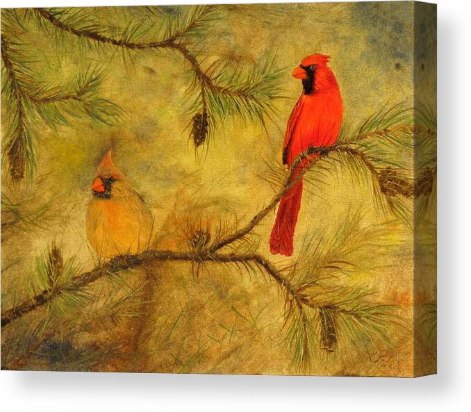 Cardinals Canvas Print featuring the painting Mr and Mrs by Catfish Lawrence