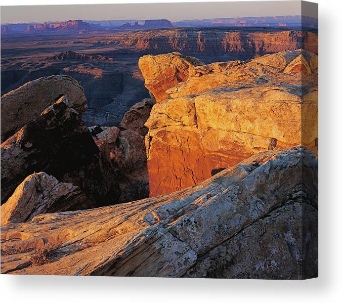 Utah Canvas Print featuring the photograph Muley Point Sunrise by Tom Daniel