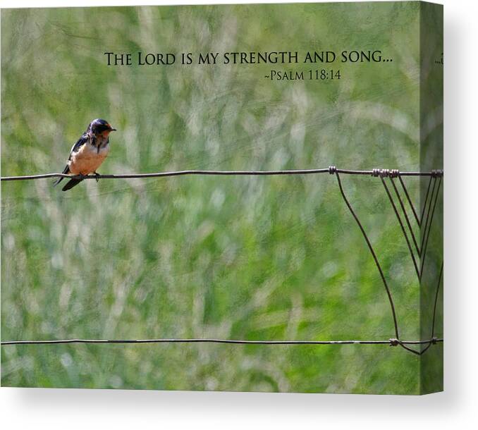 Nature Canvas Print featuring the photograph My Strength by Bonnie Bruno