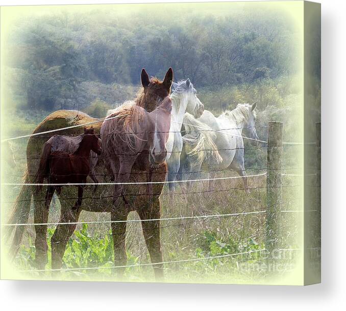 Horses Canvas Print featuring the photograph Mystic Horses by Rick Rauzi