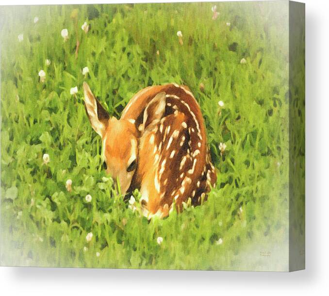 Painting Canvas Print featuring the photograph Nap Time by Mark Allen