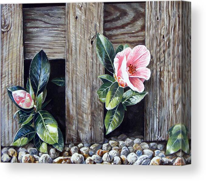 Flower Pink Acrylics Neighbours Fence Wood Leaves Canvas Print featuring the painting Neighbours by Arie Van der Wijst