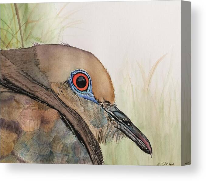 Dove Canvas Print featuring the painting Nesting by Sonja Jones