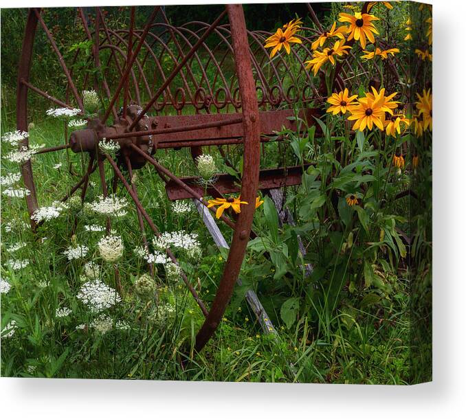 Summer Flower Canvas Print featuring the photograph New England Summer Wild Flowers by Bill Wakeley