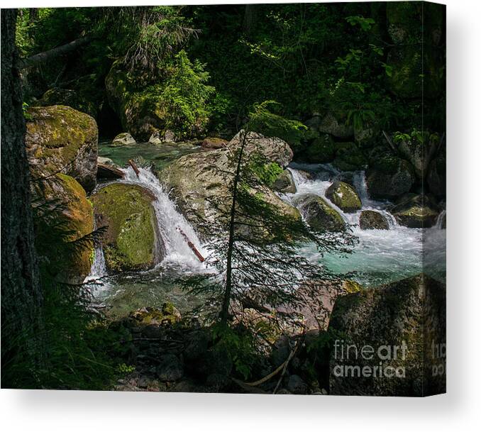 Waterfalls Canvas Print featuring the photograph Nickel Creek 0715 by Chuck Flewelling