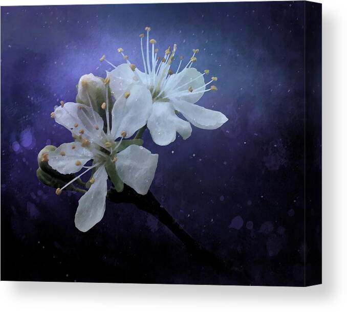 Night Blooms Canvas Print featuring the photograph Night Blooms by I'ina Van Lawick