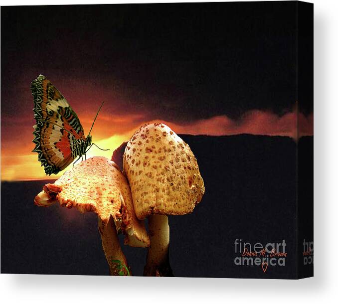 Butterfly Canvas Print featuring the photograph Night Fall by Donna Brown