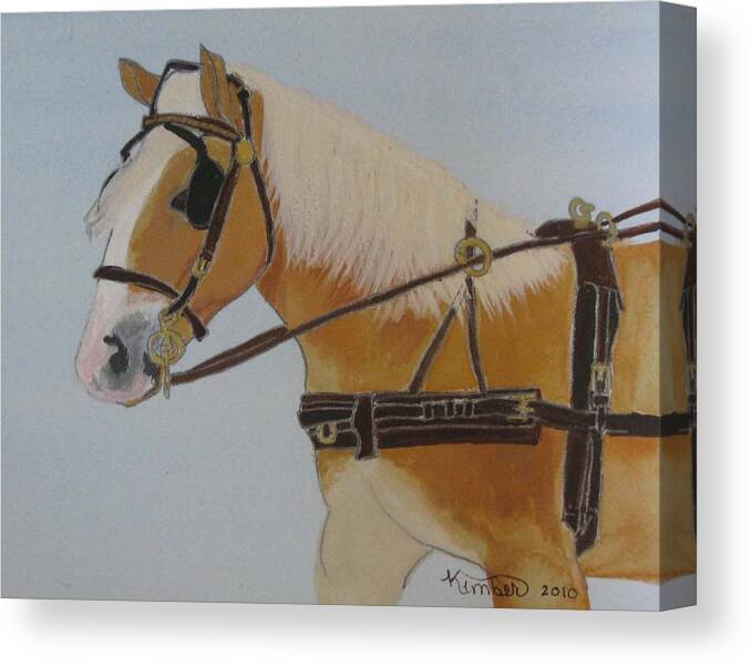 Haflinger Canvas Print featuring the painting Nordex by Kimber Butler