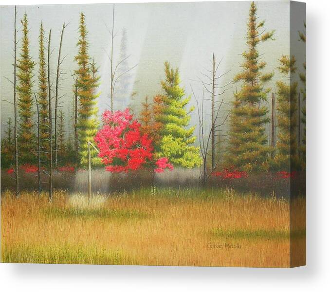 Bush-country Canvas Print featuring the painting Northern Ontario by Conrad Mieschke