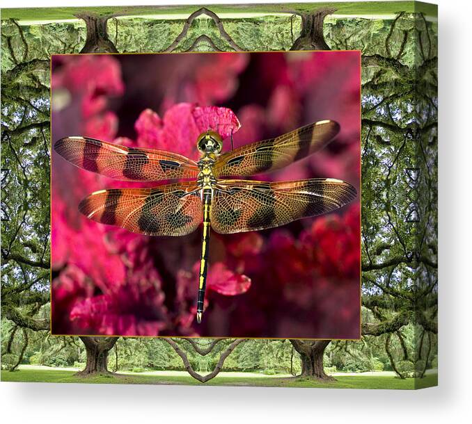 Nature Photos Canvas Print featuring the photograph Oak Tree Dragonfly by Bell And Todd