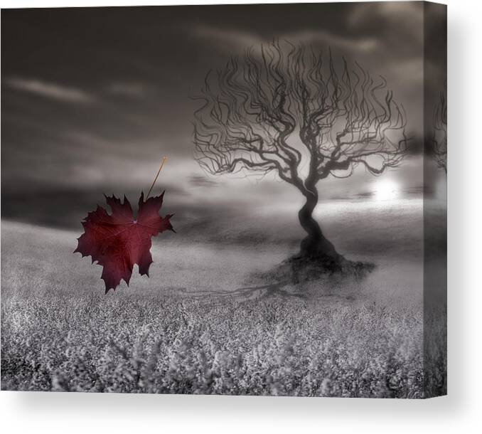 Wall Art Canvas Print featuring the photograph October Fades by Gray Artus