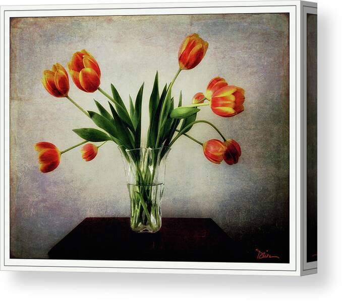 Tulips Canvas Print featuring the photograph Old World Tulips by Peggy Dietz