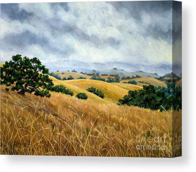 Arastradero Canvas Print featuring the painting Overcast June Morning by Laura Iverson