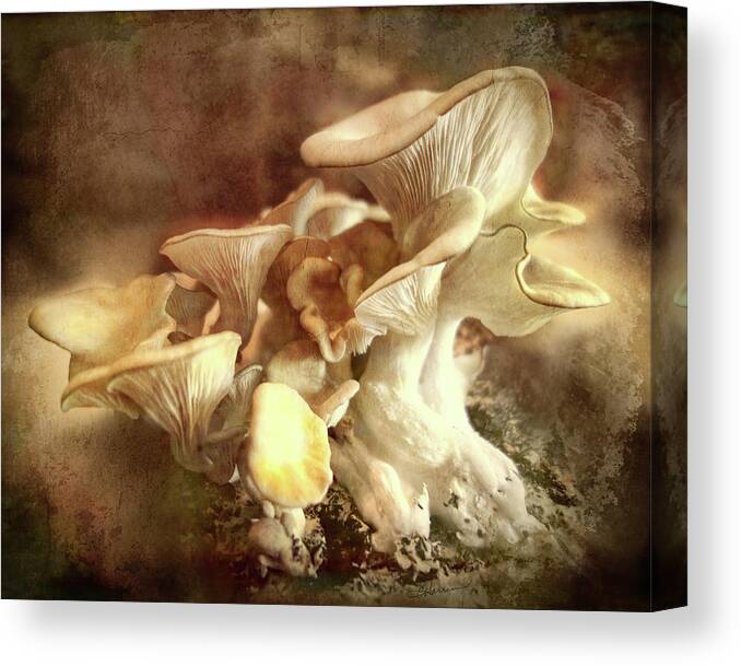 Mushrooms Canvas Print featuring the digital art Oyster Mushrooms by Cindy Collier Harris