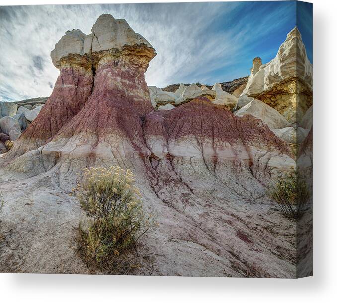 Colorado Canvas Print featuring the photograph Paint Mine Park Hoodoo by John Strong