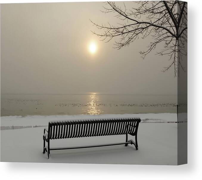 Winter Canvas Print featuring the photograph Peace by Patti Raine