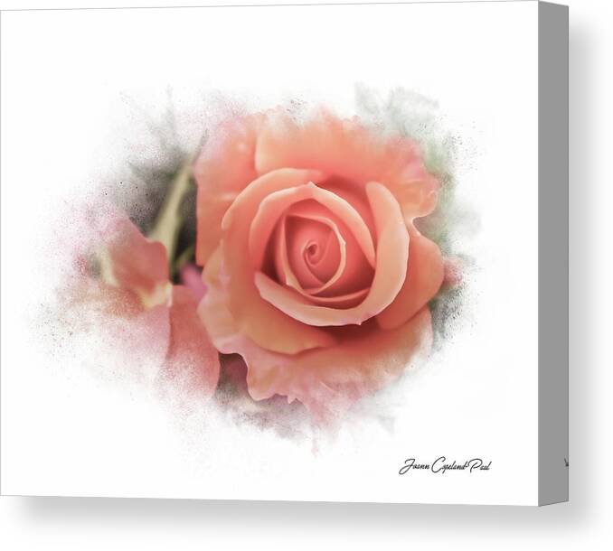 Peach Rose Canvas Print featuring the photograph Peach Perfection by Joann Copeland-Paul
